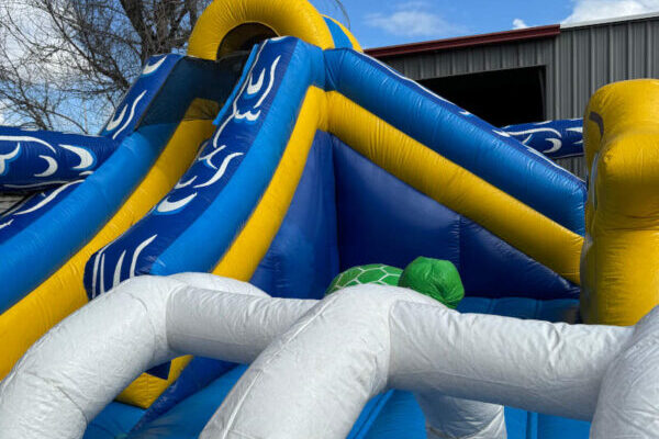 aquarium-playground-2