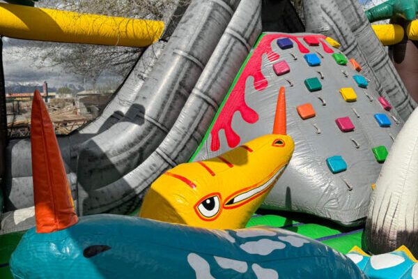 jurassic-adventure-5